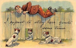 Comic   I EXPECT TO STAY HERE   Man on Fence~3 Dogs Below   ca1910's Postcard