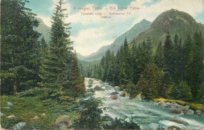 Vintage Postcard Slovakia Tarpatak Valley High Tatras mountain scenery