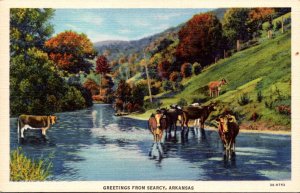 Arkansas Greetings From Searcy Curteich