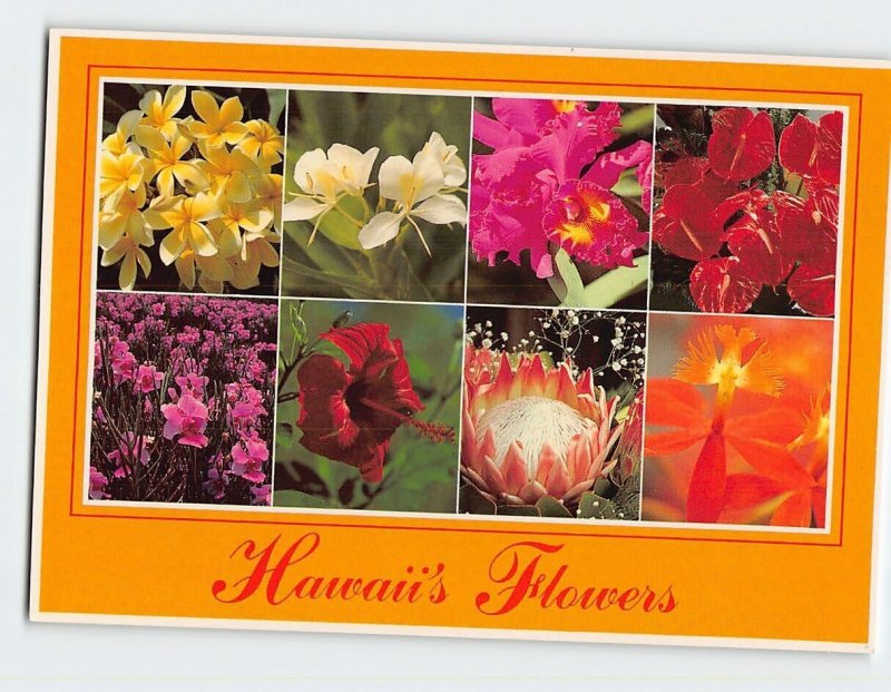 Postcard Hawaii's Flowers, Hawaii