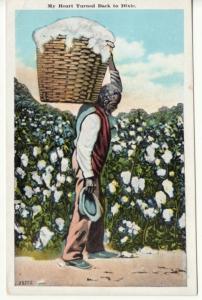 BLACK AMERICANA   COTTON PICKING  postcard