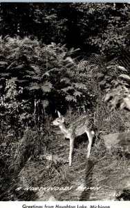 1940s A Northwoods Fawn Greetings from Houghton Lake MI Real Photo Postcard