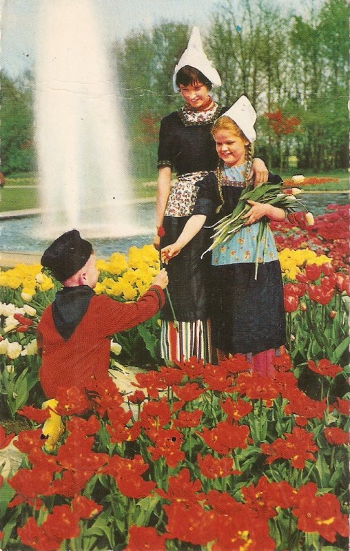 Chidren picking flowers in park Colour çfull Dutch postard 1950s