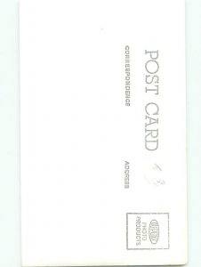 Old rppc NATURE SCENE Great Postcard AB0513