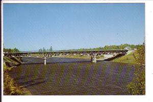 Saugeen River Bridge, Sothampton, Ontario, 