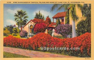 Hedge of Flame Vine - St Petersburg, Florida FL  