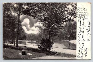 1906 Fern Cliff Cemetery Springfield Ohio Postcard Undivided Back Real Photo