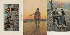 The Sowers Sowing Farming Agriculture 3x WW1 Old Postcard s