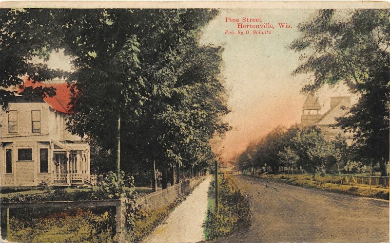 F50/ Hortonville Wisconsin Postcard c1910 Pine Street Homes