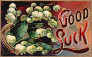 ​​Vintage Postcard 1909 Good Luck Greetings Beautiful White Flowers Horse Shoe
