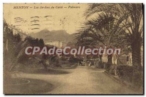 Old Postcard Menton Jardins Du Carei Palms