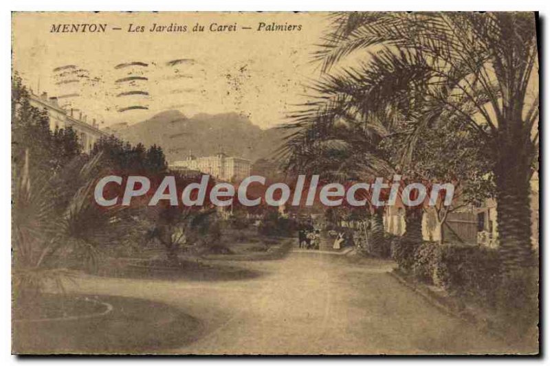 Old Postcard Menton Jardins Du Carei Palms