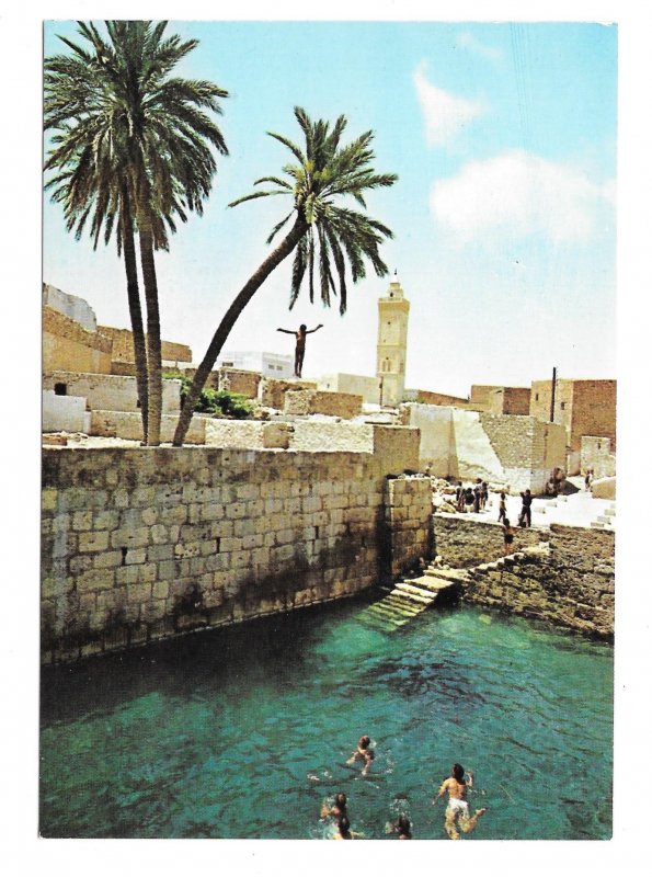 Tunisia Gafsa Roman Swimming Pool Vtg Kahia Tunis 4X6 Postcard