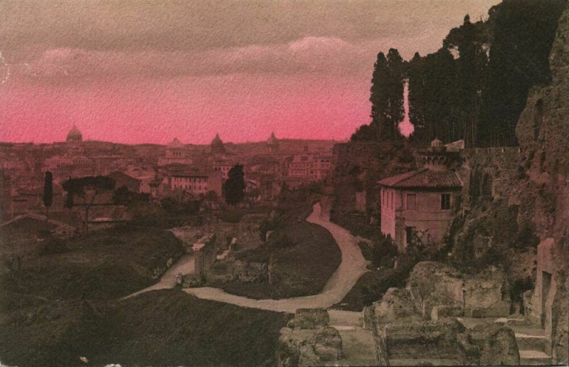 italy, ROMA ROME, Palatino Belvedere (1910s) Postcard