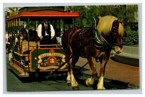 Vintage 1974 Postcard Walt Disney World Horse Drawn Streetcar Main Street USA