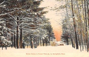 Winter Scene in Forest Park Springfield, Massachusetts MA