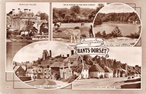 uk14527 beauty spots hants dorset  real photo uk