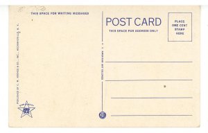 MA - Pittsfield. North Street circa 1920's