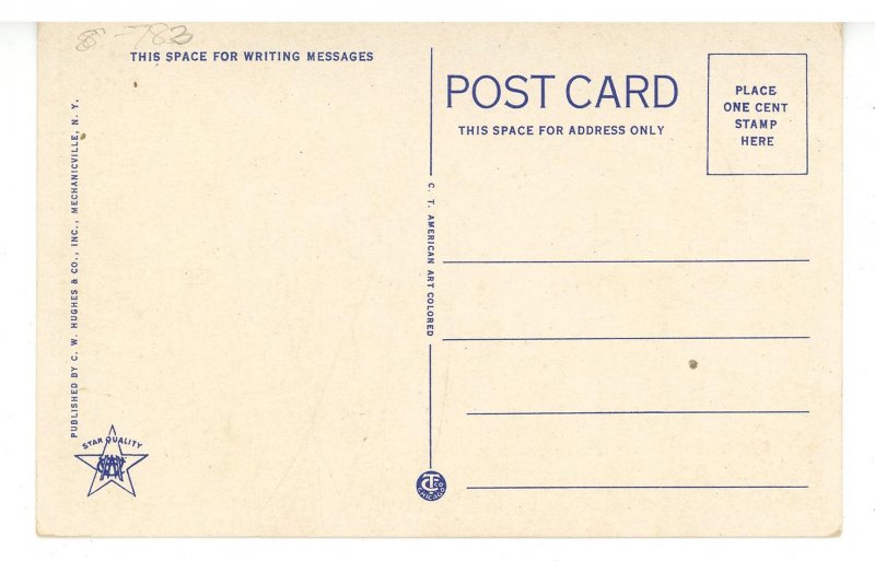 MA - Pittsfield. North Street circa 1920's