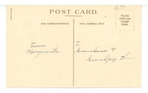 Greeting - New Year. Cats & Holly    