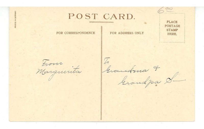 Greeting - New Year. Cats & Holly    