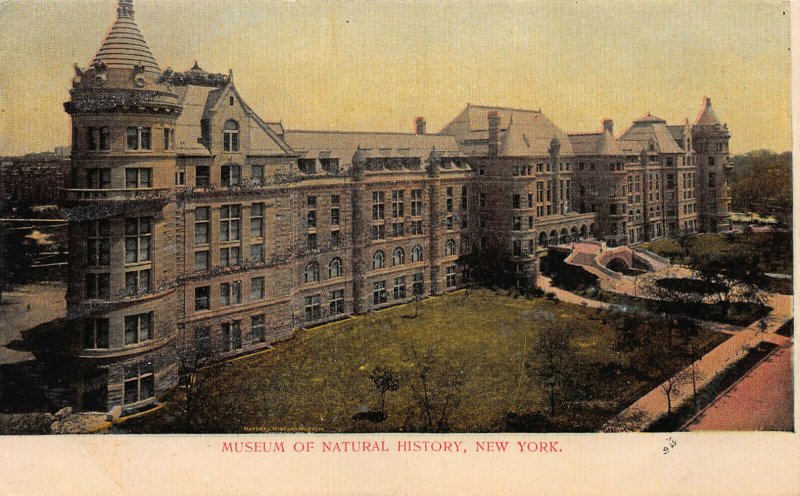 Museum of Natural History, Manhattan, New York City, Early Postcard, Unused 