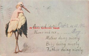 Baby Arrival Announcement, Boy, 1907, Stayton Oregon, Stork