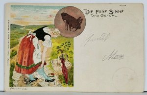 Die Funf Sinne Das Gefuhl The Five Senses Feel the Feeling 1898 Postcard K18