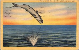 Tarpoon Mid Air Thrill Florida Fl Fisherman Linen Wob Hollywood Cancel Postcard 