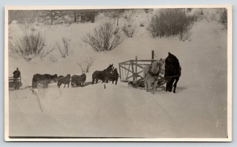 Real Photo Postcard~Horses Pull Sled Wagons Up Hill~Deep Snow~c1908 RPPC