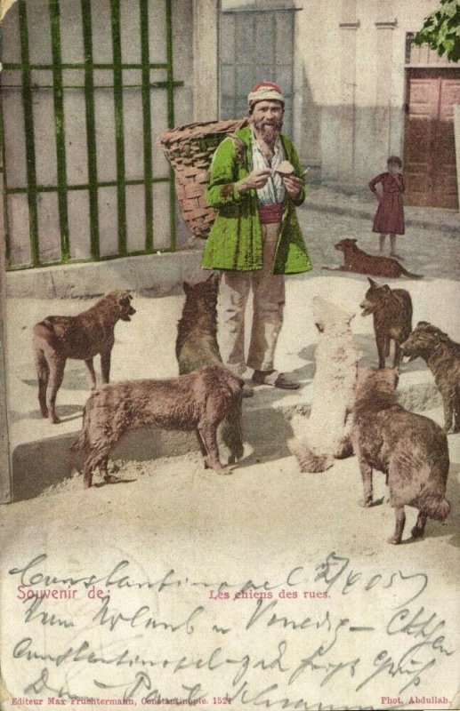 turkey, CONSTANTINOPLE, Street Dogs, Chiens de Rue (1905) Max Fruchtermann 1521