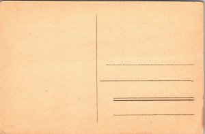 Postcard Belgium Assesse Chateau Anciaux