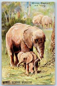 Postcard African Elephant and Young 1918 Antique Posted Oilette Tuck Art
