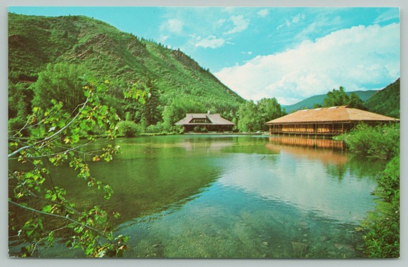 Aspen Colorado~Aspen Music School Campus~Standard Chrome Postcard