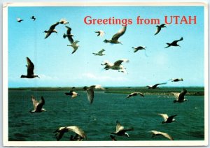 Postcard - Greetings from Utah