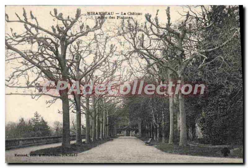 Postcard Old Mirambeau Chateau Des Platanes Alles