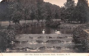 The Swans in Kirkside Park - Roxbury, New York NY  