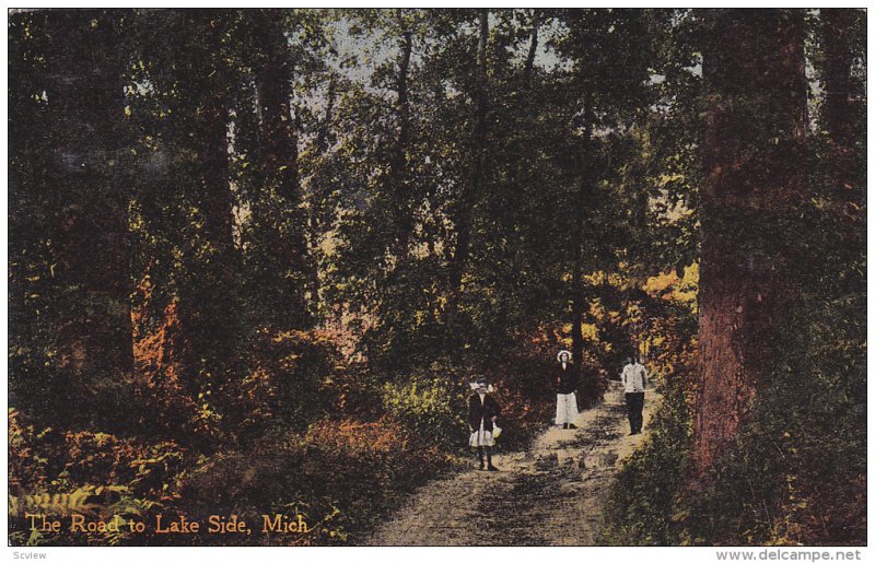 Walking Along The Road To Lake Side, Michigan, PU-1915