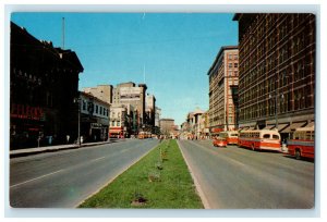 c1950 Flowers View, Buses in Portage, Winnipeg Manitoba Canada Postcard 