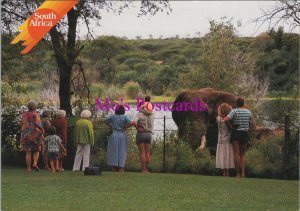 Animals Postcard - Elephants, South Africa, Kruger National Park  RR20749