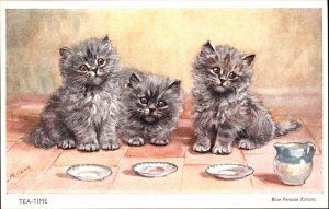 A/S Blue Persian Cat Kittens w Tea Saucers c1910 Postcard