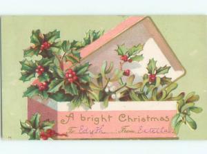 Divided-Back CHRISTMAS SCENE Great Postcard W8747