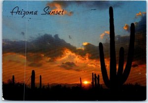 M-89133 Saguaros at Sunset Arizona USA