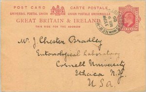 Entier Postal Stationery 1p for USA 1906