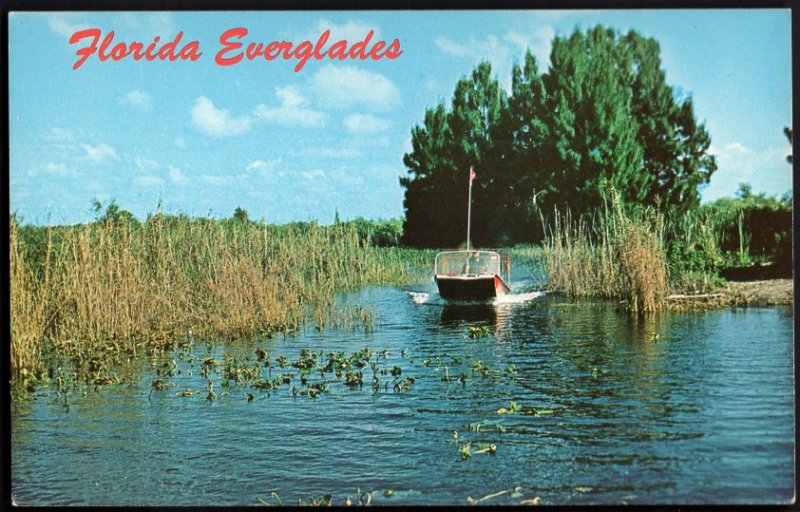 31720) Florida Air-boat rides through the Florida Everglades - Chrome