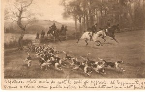 Hunting Scene. Horses Nice vintage Italian postcar