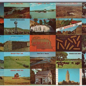 c1960s Nebraska Greetings Collage 25 Mini View Card Pospeshil Family Photos A216