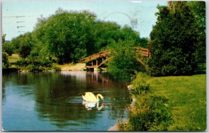 Stratford Ontario Canada,1957 Island Bridge Avon River, Swan & Trees, Postcard