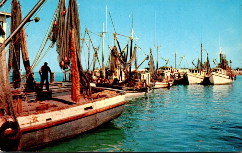 Florida Shrimp Fleet Anchored In A Florida Port