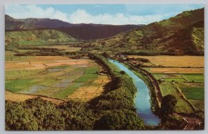 State View~Air View Hanalei Valley Kauai Honolulu Hawaii~Vintage Postcard